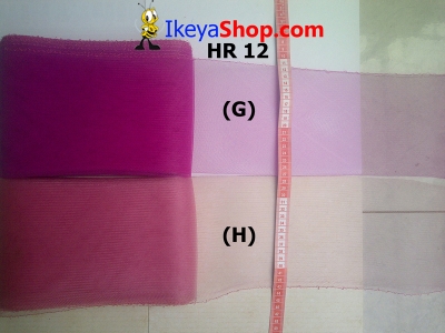 HR 12 G H  large2